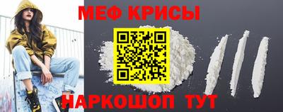 индика Гатчина