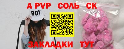 индика Гатчина