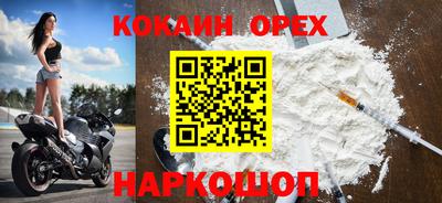 индика Гатчина