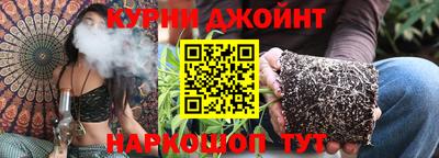 индика Гатчина
