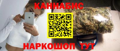 индика Гатчина