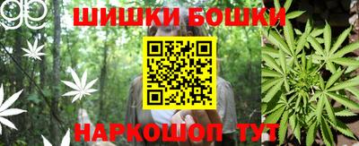 индика Гатчина