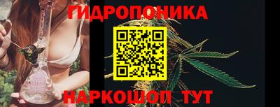 прущие крисы Тверь