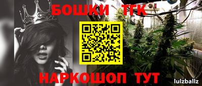 индика Гатчина