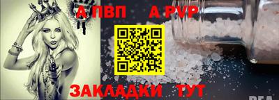 индика Гатчина