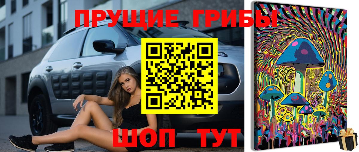 Галлюциногенные грибы Cubensis  Вход с VPN  Псилоцибиновые грибы GOLDEN TEACHER  Междуреченск 